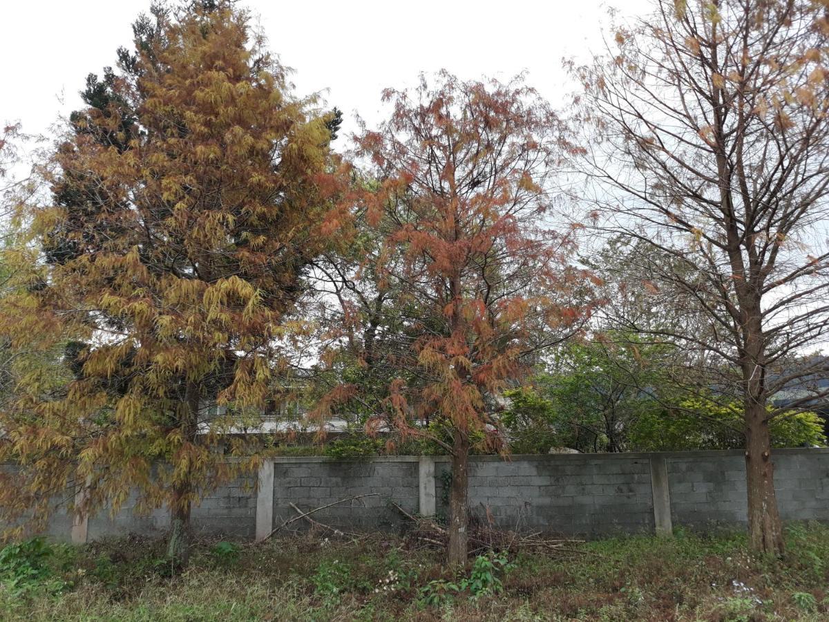 63Inn庭園民宿 Pinghe Экстерьер фото